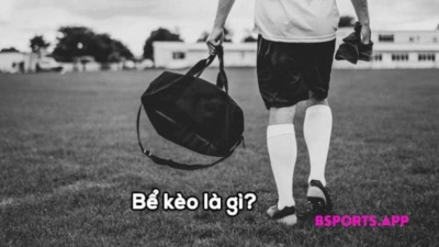 Blog 1